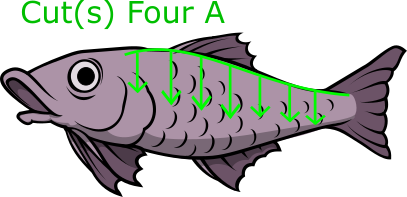 Cut down along fish's fin rays to body cavity