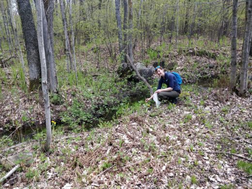 Foraging in the woods