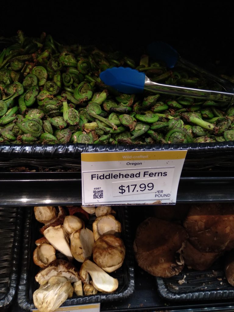 Expensive Fiddlehead Ferns